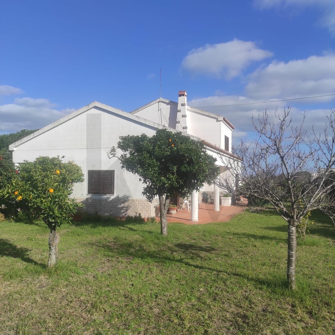Farm Ranch in Moita, Setúbal Municipality, Portugal 1 - 18894581