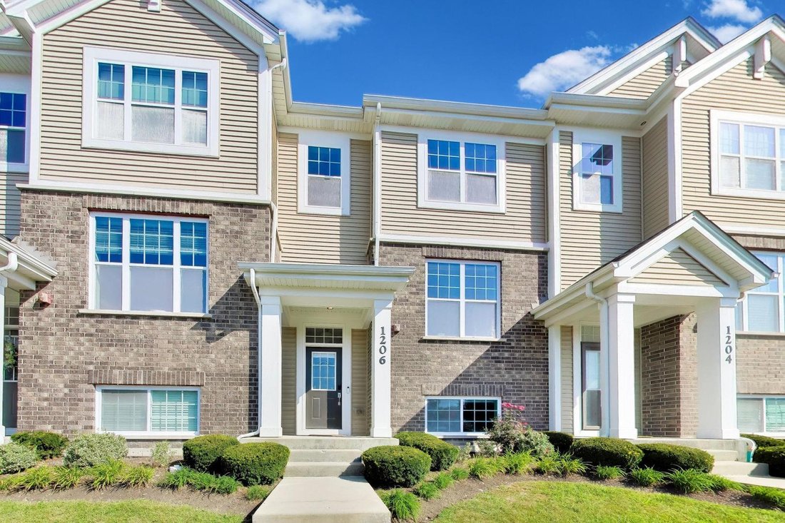 Villa in Park Ridge, Illinois, United States 1 - 18894758