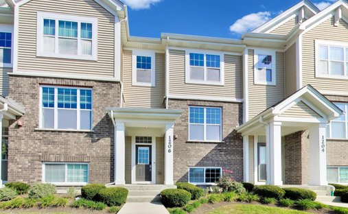Villa in Park Ridge, Illinois, United States 1