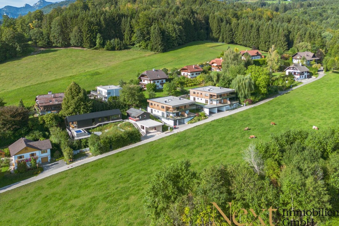 Apartment in Nußdorf am Attersee, Upper Austria, Austria 2 - 18894817