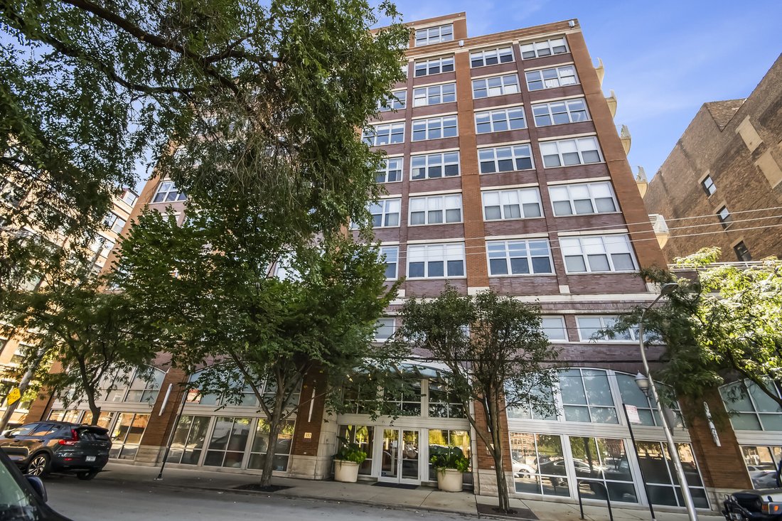 Apartment in Chicago, Illinois, United States 1 - 18894744