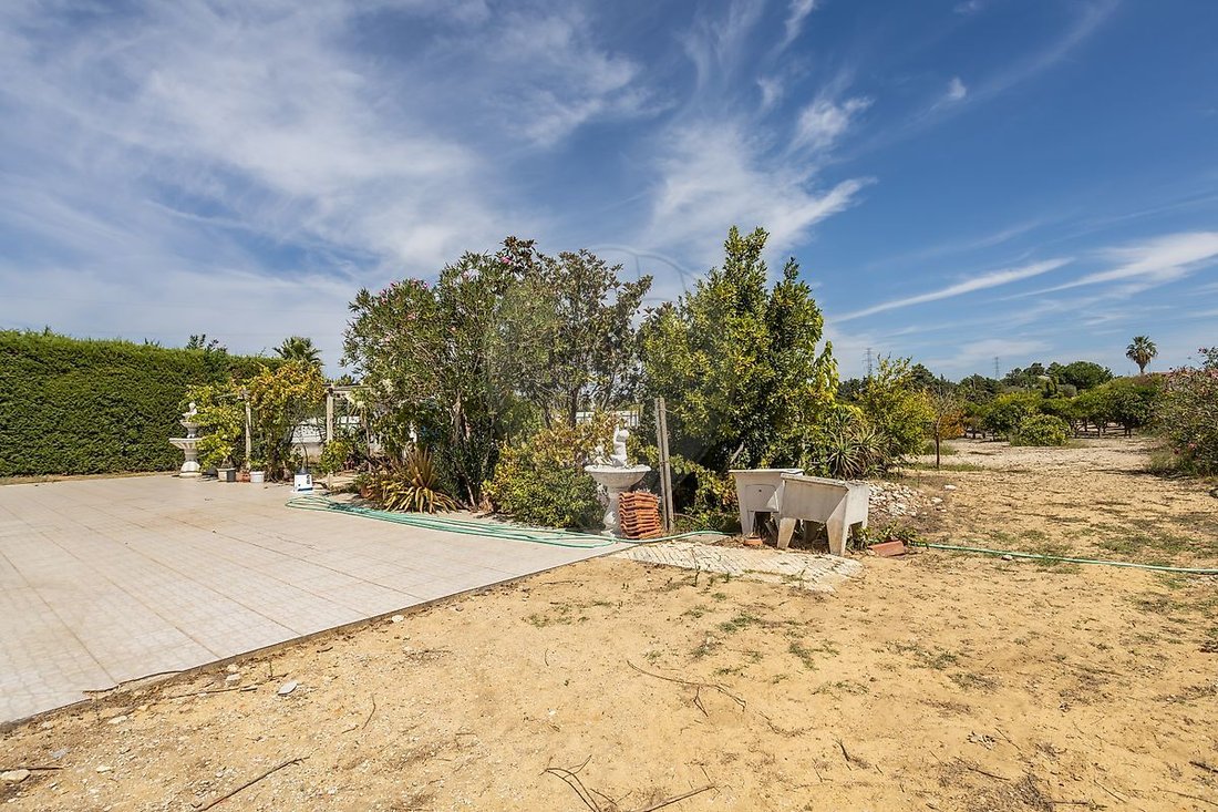Villa in Quinta do Anjo, Setubal, Portugal 5 - 18895032