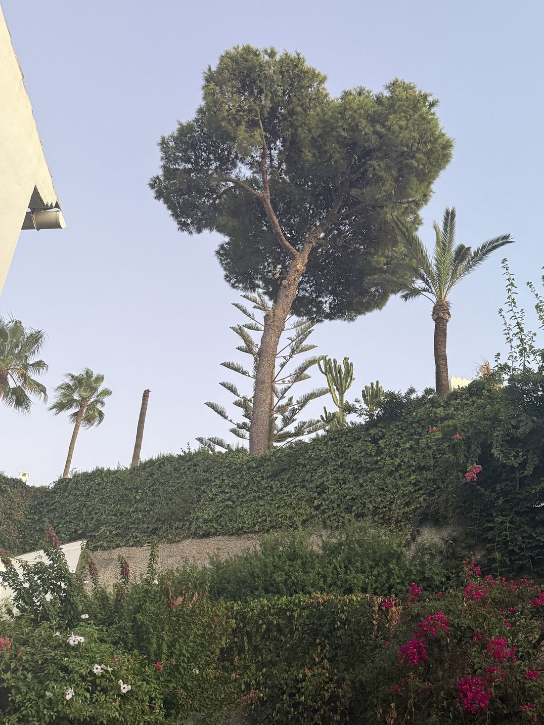 Villa a Riviera del Sol, Mijas, Spagna 4 - 18895289