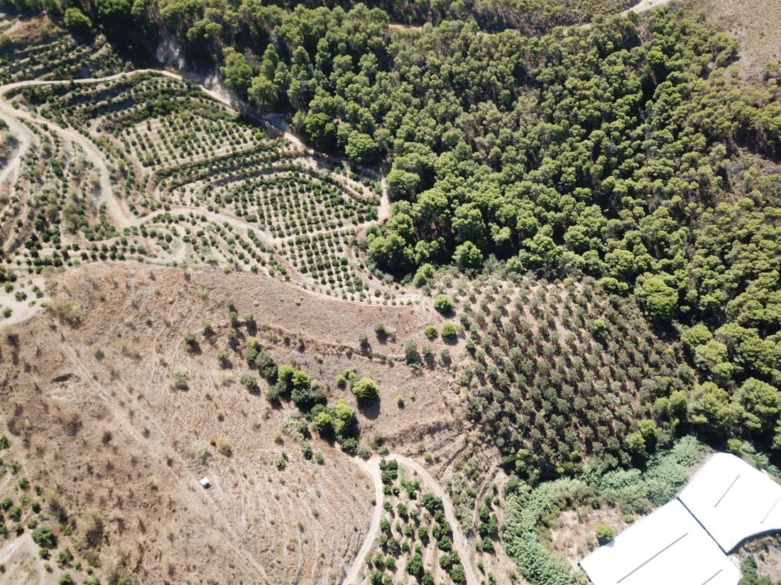 Farm Ranch in Velez de Benaudalla, Andalusia, Spain 4 - 18895270