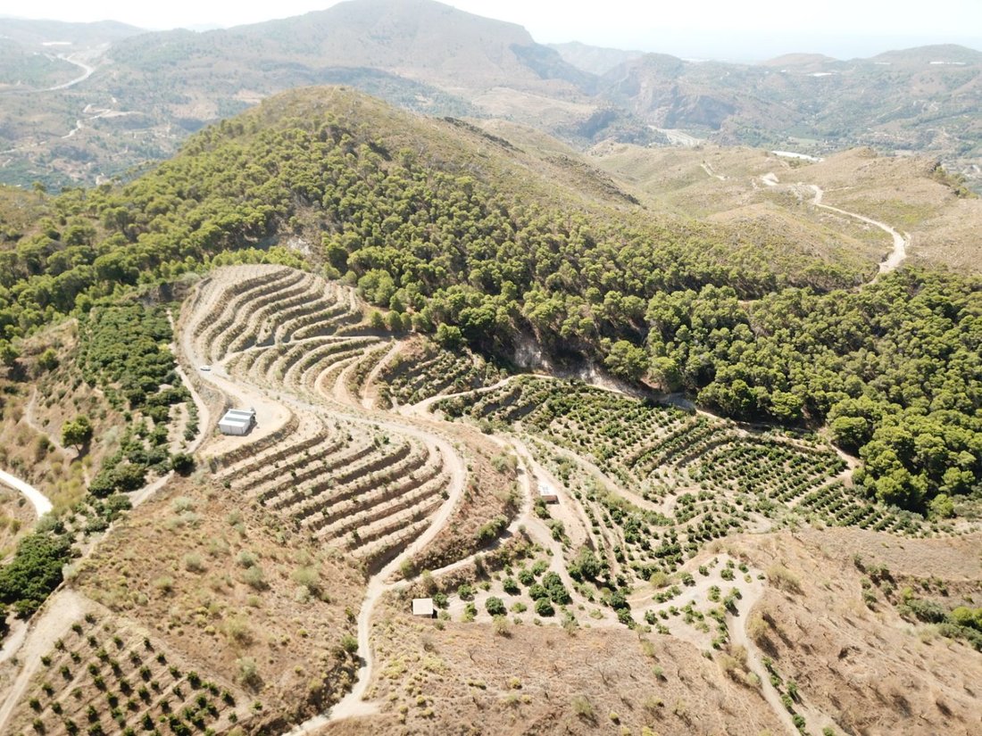 Farm Ranch in Velez de Benaudalla, Andalusia, Spain 2 - 18895270