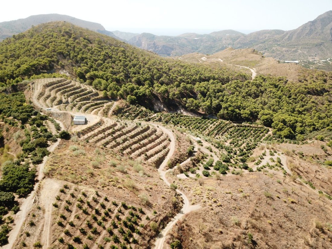 Farm Ranch in Velez de Benaudalla, Andalusia, Spain 1 - 18895270