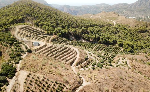 Farm Ranch in Velez de Benaudalla, Andalusia, Spain 1