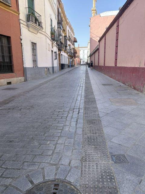 Wohnung in Casco Antiguo, Sevilla, Spanien 5 - 18895155