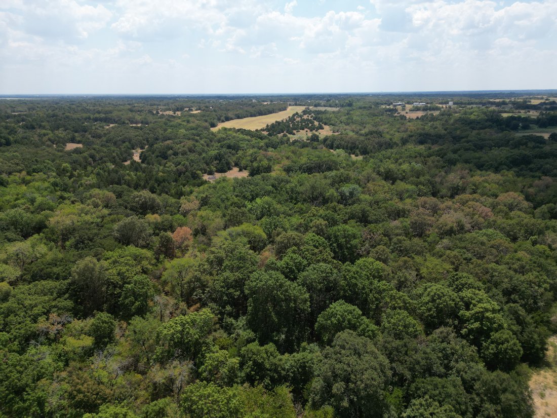 Land in Celeste, Texas, Vereinigte Staaten 5 - 18898315