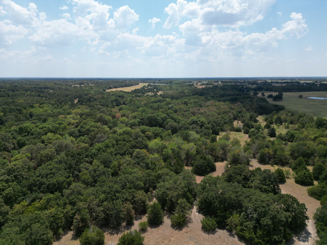 Land in Celeste, Texas, Vereinigte Staaten 4 - 18898315