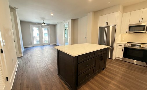 House in Dallas, Texas, United States 1
