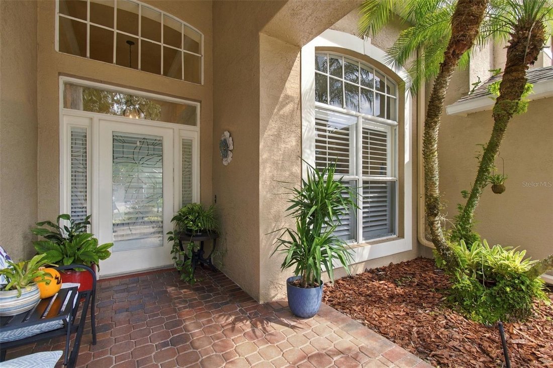 House in Tampa, Florida, United States 4 - 18899150
