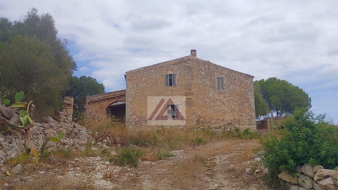 Terreno en San Lorenzo de Cardessar, Islas Baleares, España 3 - 18897027