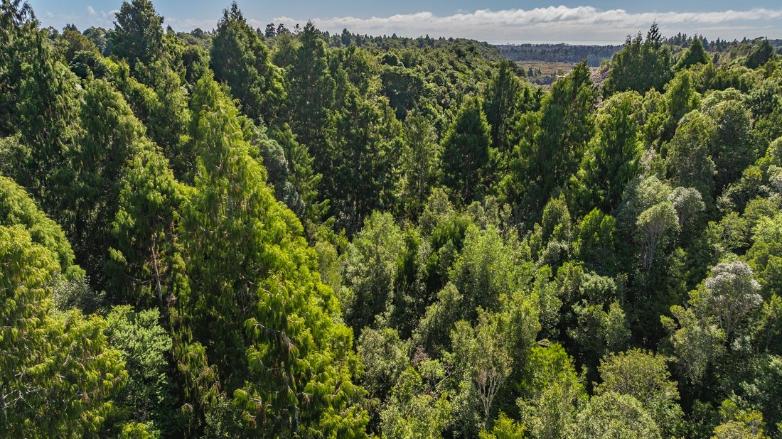 Land in Blue Spur, West Coast, New Zealand 4 - 18901405