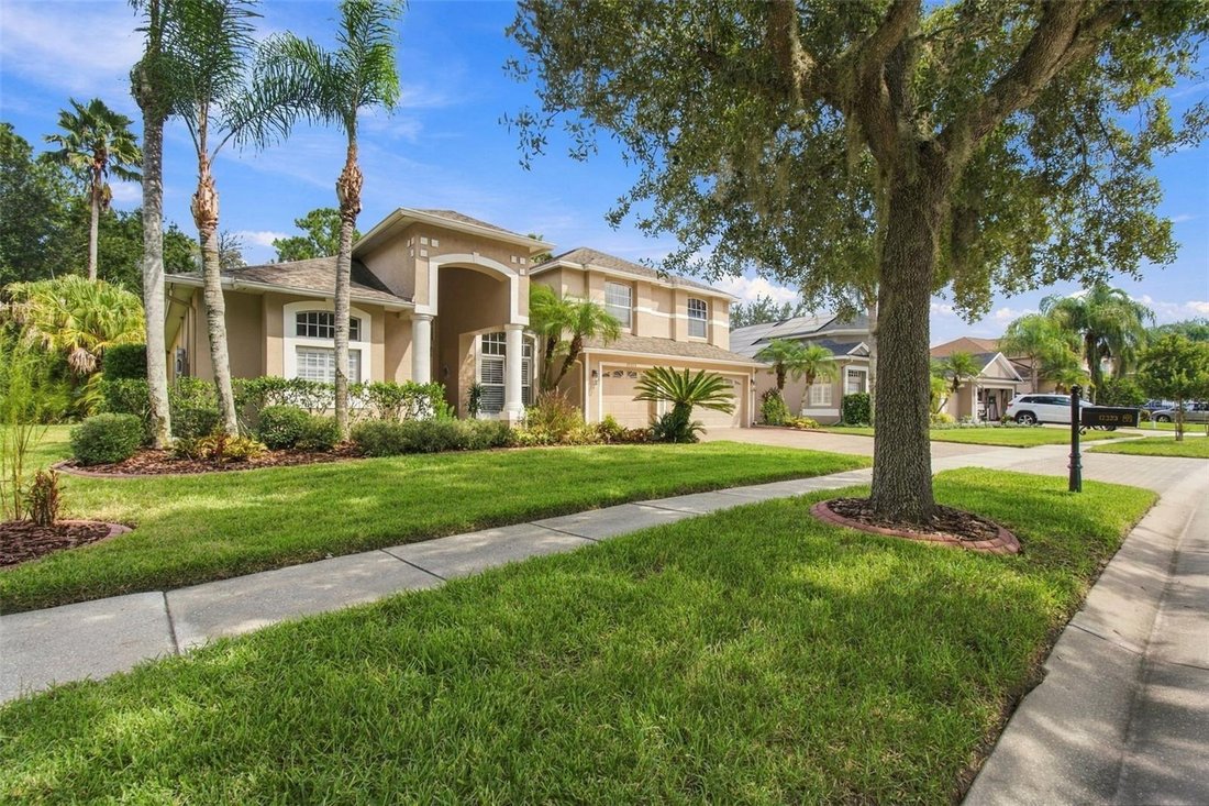 House in Tampa, Florida, United States 2 - 18899150