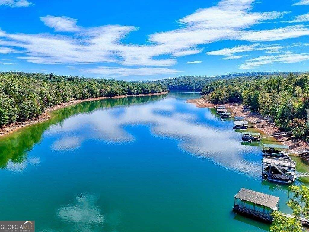Blairsville, Georgia, United States 4 - 17805160