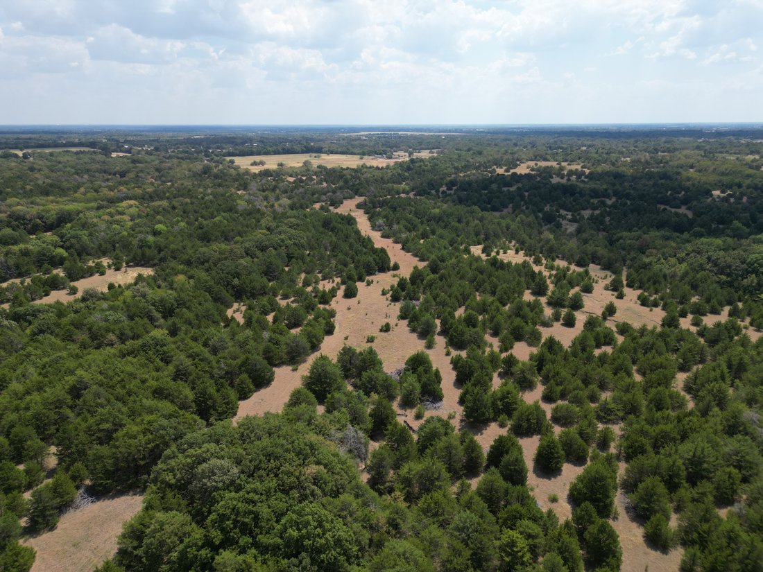Land in Celeste, Texas, Vereinigte Staaten 1 - 18898347