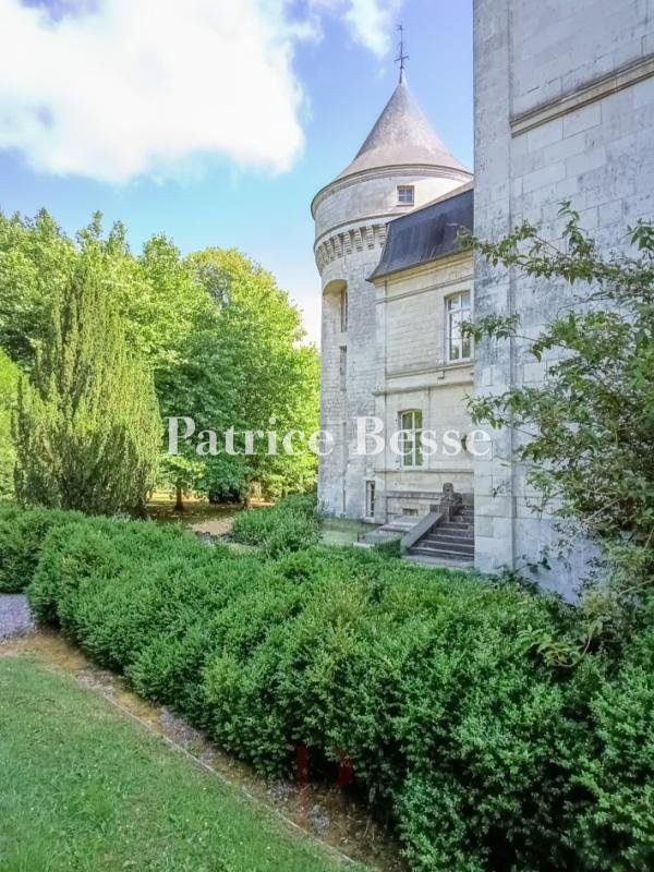 Castillo en Saint-Martin-d'Hardinghem, Alta Francia, Francia 5 - 18901142