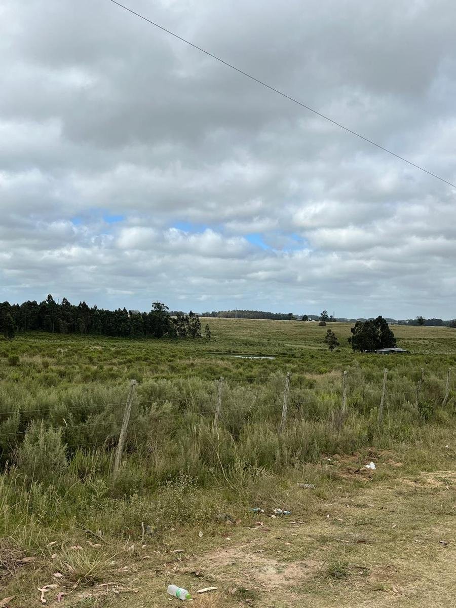 Terreno a José Ignacio, Dipartimento di Maldonado, Uruguay 4 - 18896792
