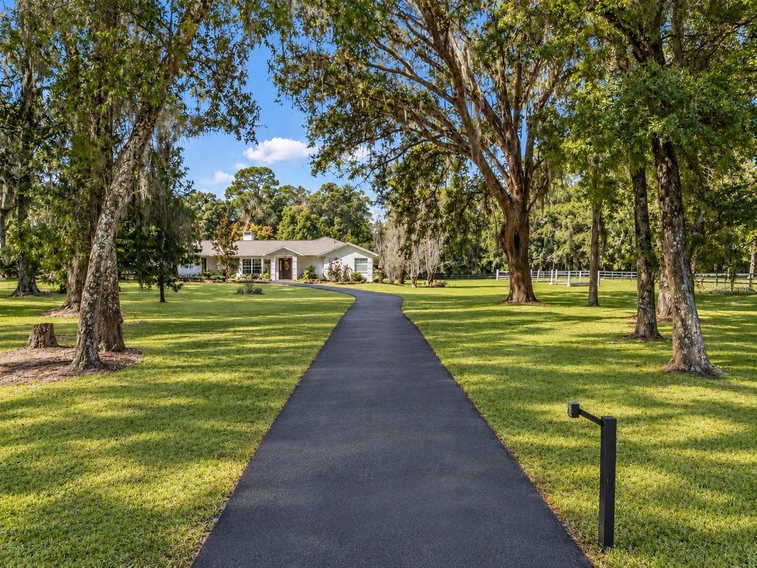 Farm Ranch in Ocala, Florida, United States 1 - 18896096