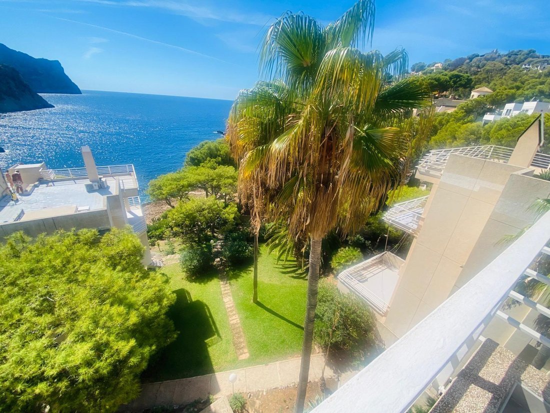 Penthouse in Port d'Andratx, Andratx, Balearische Inseln 5 - 18899572