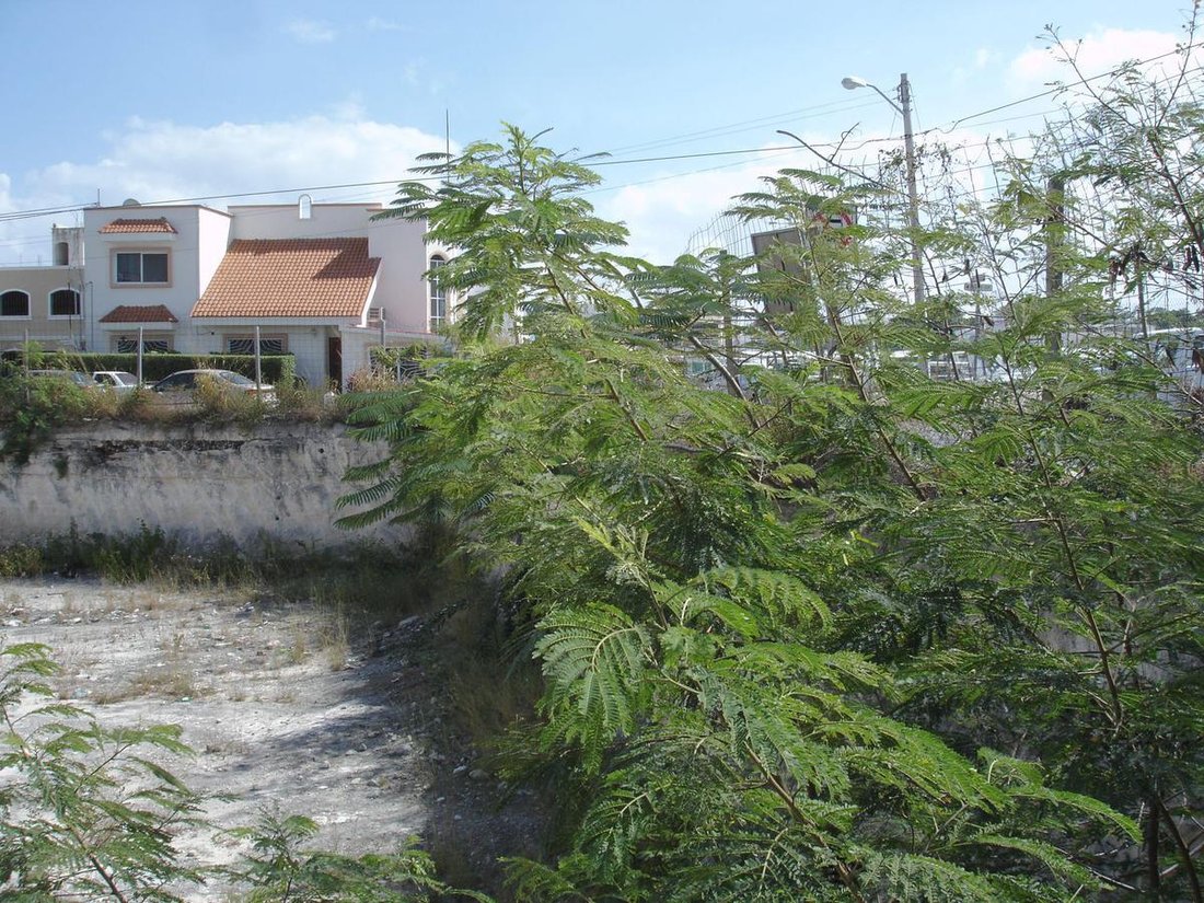 Land in Playa del Carmen, Quintana Roo, Mexiko 3 - 18897968