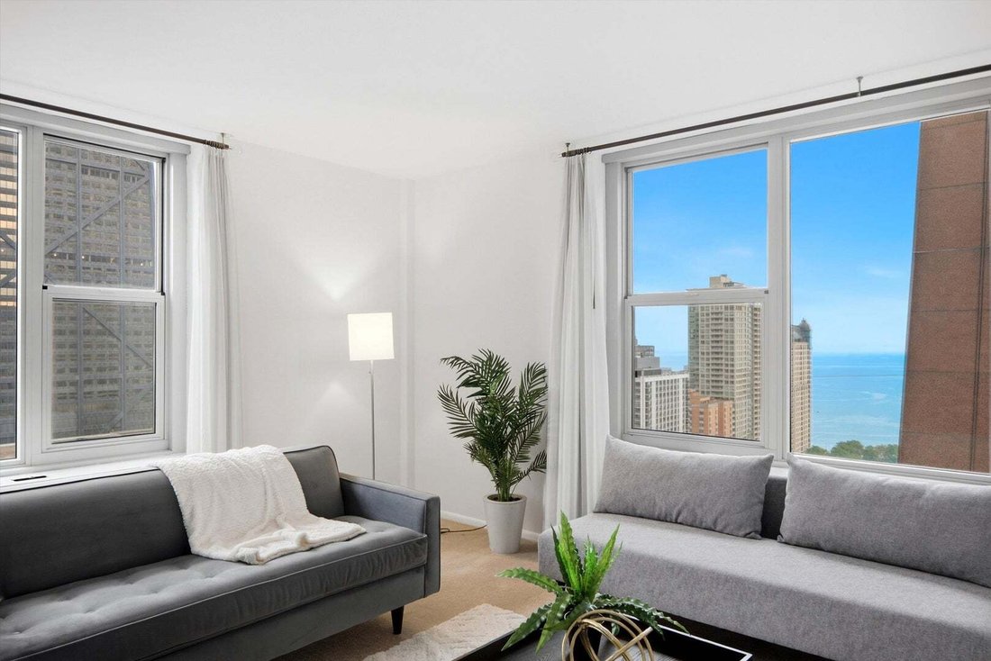 Condo in Chicago, Illinois, United States 5 - 18900417