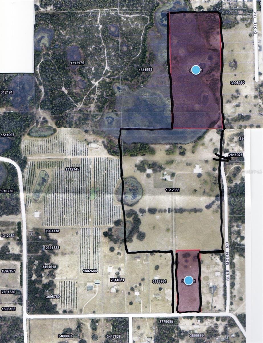 Farm Ranch in Paisley, Florida, United States 3 - 17184764