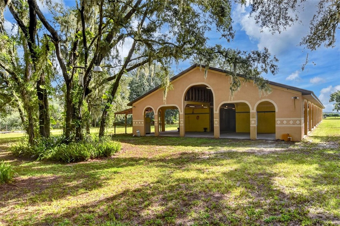 Wimauma, Florida, United States 3 - 18899169