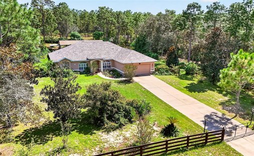 House in Beverly Hills, Florida, United States 1