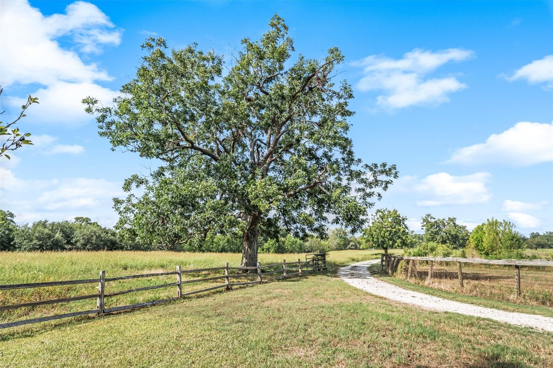 Farm Ranch in Brookshire, Texas, United States 5 - 18902443