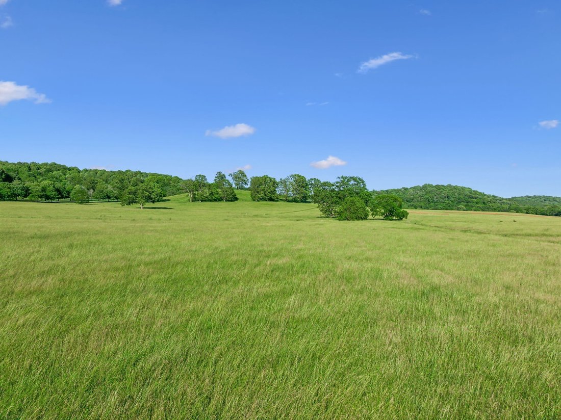 Land in Franklin, Tennessee, Vereinigte Staaten 5 - 18902253