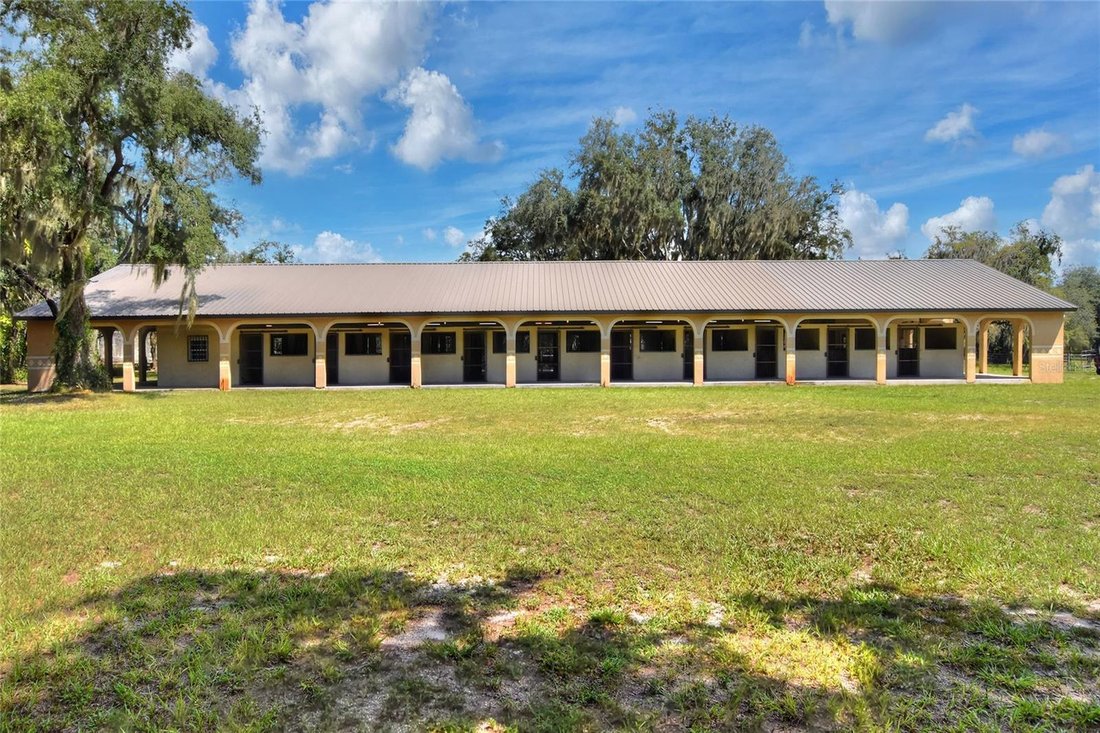 Wimauma, Florida, United States 1 - 18899169