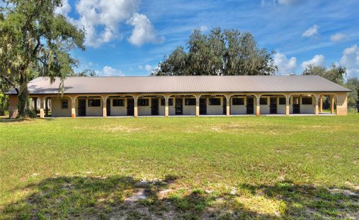 Wimauma, Florida, Stati Uniti 1