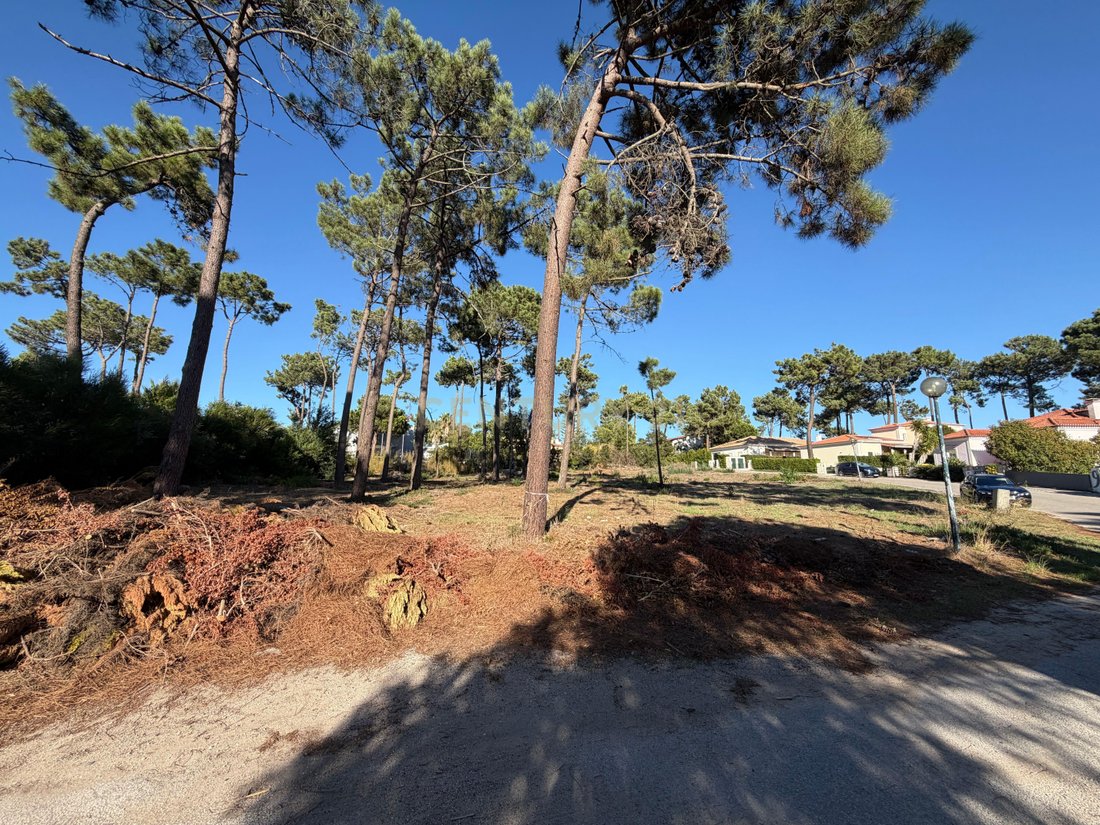 Land in Herdade Da Aroeira, Charneca de Caparica e Sobreda, Setubal 5 - 18900851
