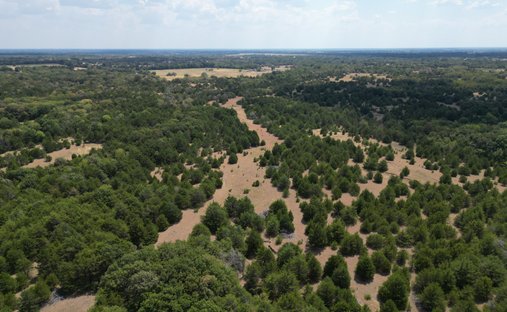 Terreno en Celeste, Texas, Estados Unidos 1
