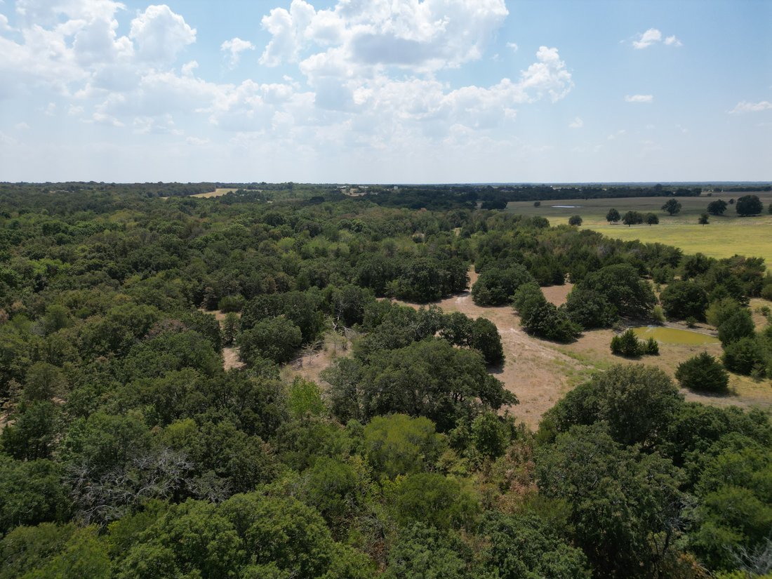 Land in Celeste, Texas, Vereinigte Staaten 3 - 18898347