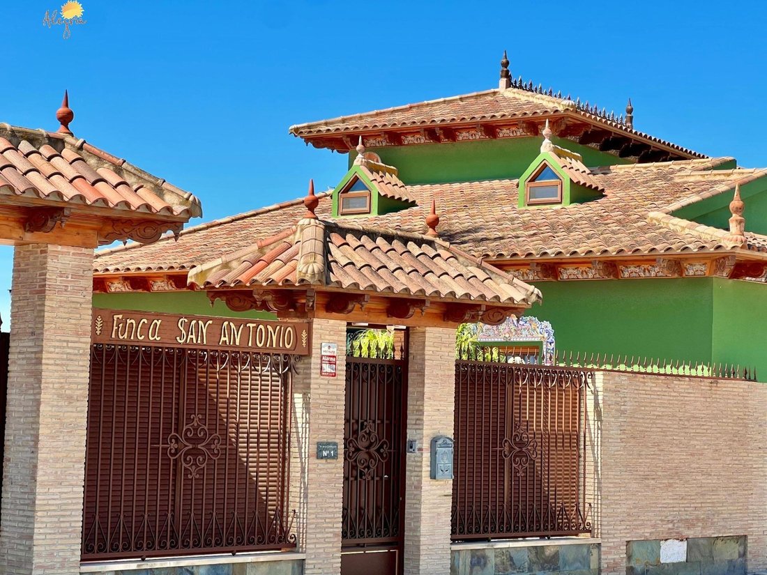 Haus in Almoradí, Land Valencia, Spanien 3 - 18901312