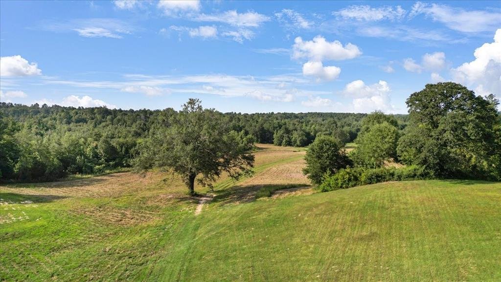 House in Gilmer, Texas, United States 4 - 18900567