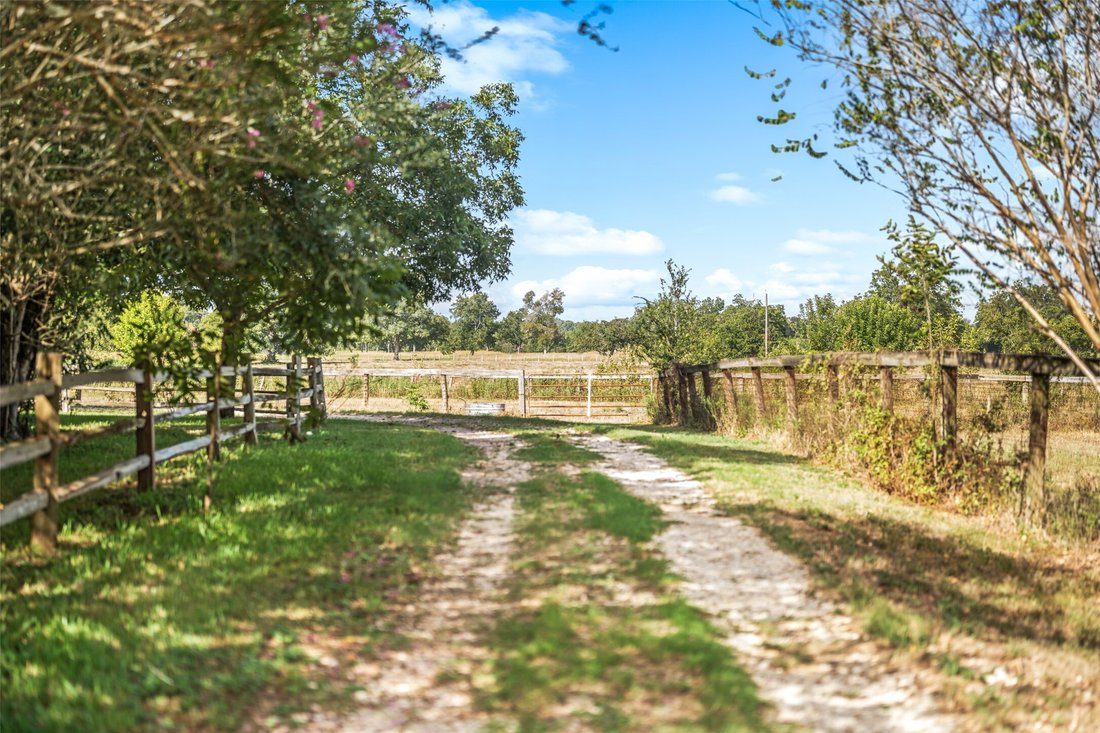 Farm Ranch in Brookshire, Texas, United States 4 - 18902443