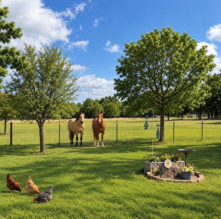 House in Weatherford, Texas, United States 4 - 18093004