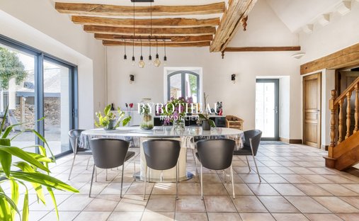 House in Segre, Segre-en-Anjou Bleu, France 1