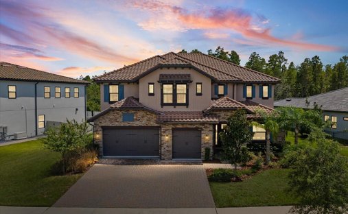 Casa en Odessa, Florida, Estados Unidos 1