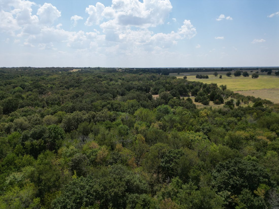 Land in Celeste, Texas, Vereinigte Staaten 2 - 18898347