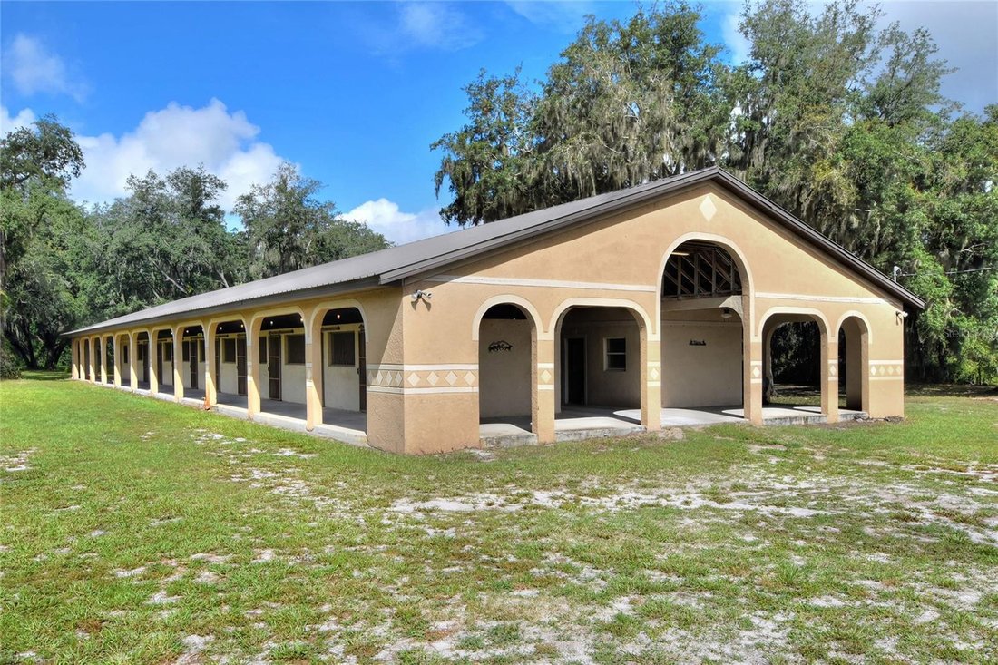 Wimauma, Florida, United States 4 - 18899169