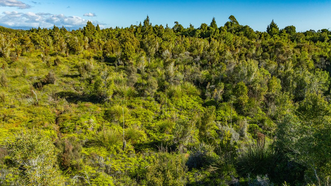 Land in Blue Spur, West Coast, New Zealand 5 - 18901405