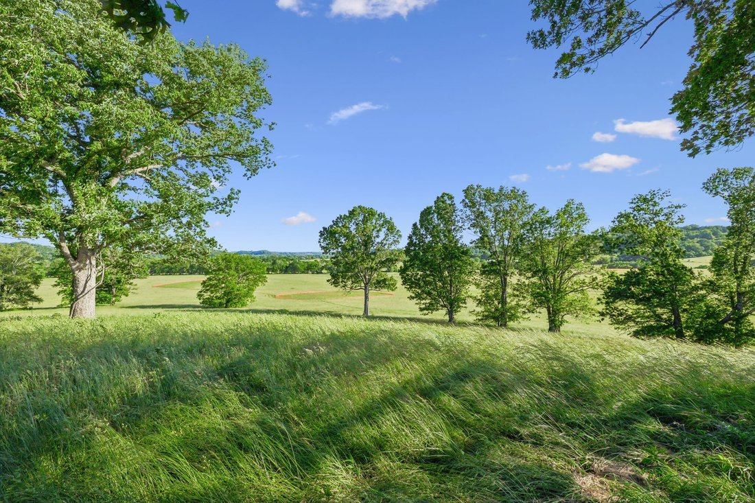 Land in Franklin, Tennessee, Vereinigte Staaten 4 - 18902253