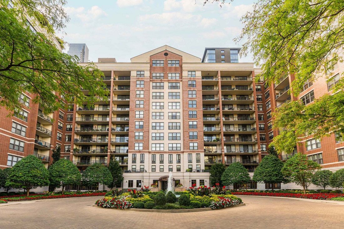 Condo in Chicago, Illinois, United States 1 - 18900496