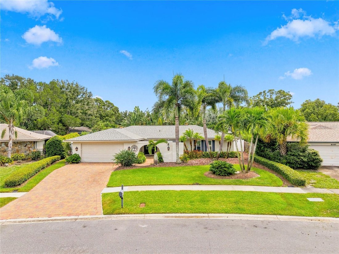 House in Clearwater, Florida, United States 1 - 18896048