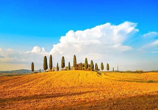 Townhouse in Castelnuovo Berardenga, Tuscany, Italy 5 - 18895384